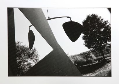 null PHOTOGRAPHIE. Eléonore NITZSCHKÉ (née en 1961). Calder at Roxbury (1985) "Rox...
