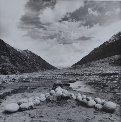 null Pierre MINOT (né en 1945) & Gilbert GORMEZANO (né en 1948). Terres de ciel V...