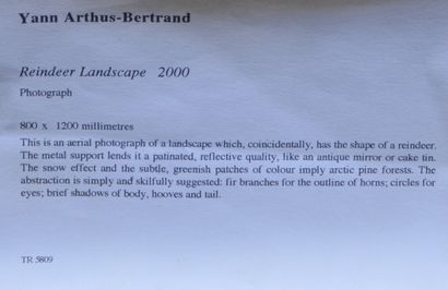 null Yann ARTHUS-BERTRAND (né en 1946). Reindeer Landscape, 2000. Grand tirage couleur...