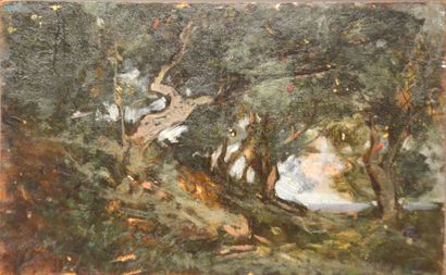 null School of the XIXth / XXth century

Trees in the sea

Oil on panel monogrammed...