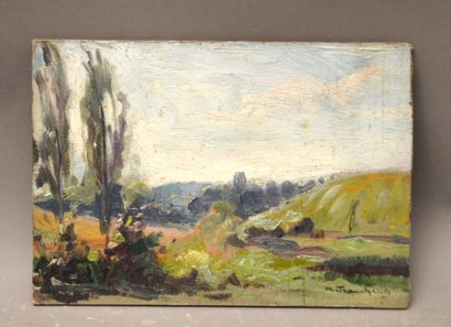 null TRANCHANT Charles born in 1904

Landscape

Oil on cardboard signed at the bottom...
