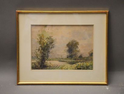 null PROST Henri born in 1936

Landscape

Watercolor signed lower right

Sight: 18,...