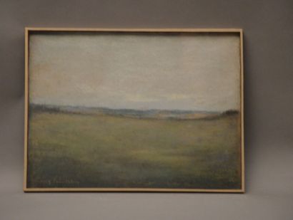  POINTELIN Auguste (1839-1933) 
"Paysage Franc-comtois" 
Pastel gras signé en bas...