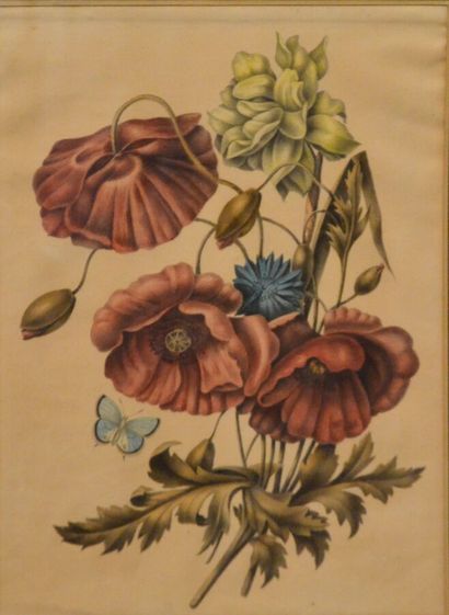  Ecole du XIXème 
Fleurs et papillon 
Aquarelle non signée 
31 X 22, 5 cm