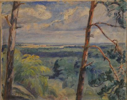 null DELGOBE-DENIKER Marguerite

Landscape

Oil on canvas signed lower left 

33...