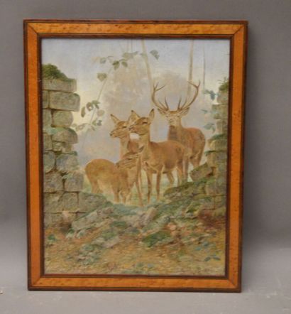 null BODMER Rodolphe (1805-1841)

Deer and hinds

Oil on panel signed lower right...