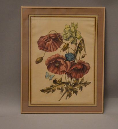  Ecole du XIXème 
Fleurs et papillon 
Aquarelle non signée 
31 X 22, 5 cm