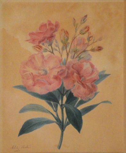 RICHE Adèle (1791-1887) 
Branche de pivoines...