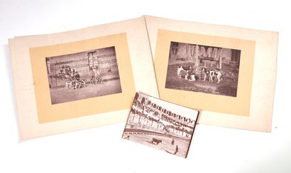 null PHOTOGRAPHY.

 HUNTING. Set of two photographic plates, drawn in photoglyptie....
