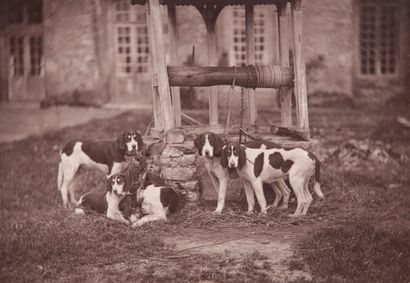 null PHOTOGRAPHIE.

 CHASSE. Ensemble de deux planches photographiques, tirées en...