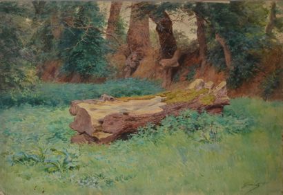 null Jules GIRARDET (1856-1938)

"Sous bois avec un tronc d'arbre"

aquarelle sur...