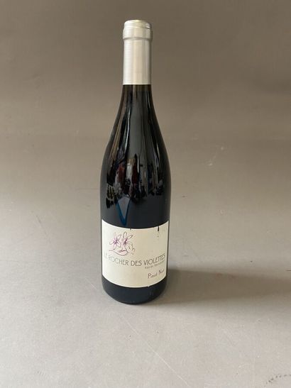 null 12 bottles : LE ROCHER DES VIOLETTES 2020 Val de Loire Xavier Weisskopf whi...