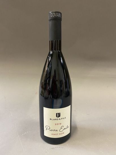 null 7 bottles : WINE OF SAVOIE PIERRE EMILE 2019 Blard & Fils red