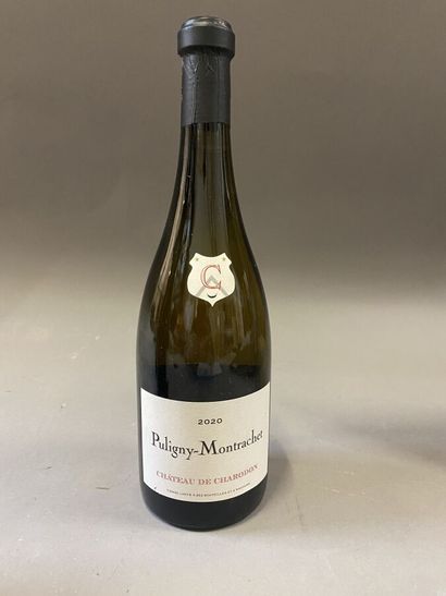 null 5 bottles : PULIGNY MONTRACHET 2020 2019 Château de Charodon white