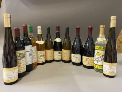 null 12 bouteilles de vins divers