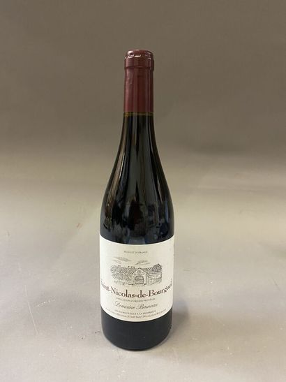 null 12 bouteilles : SAINT-NICOLAS-DE-BOURGUEIL 2020 Domaine Bruneau rouge