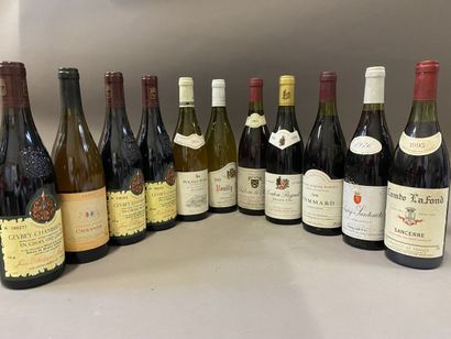 null 11 bouteilles de vins divers