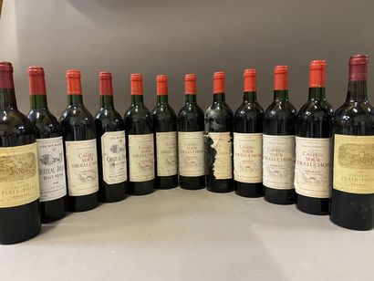 null 12 bottles of wine: 8 bts Château Tour de Cluchon1996, 2 bts Chateai Plin Pont...