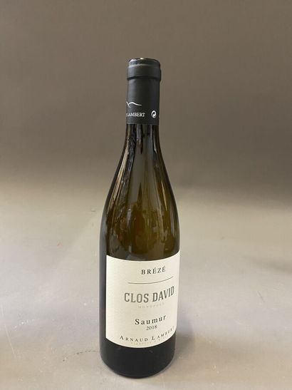 null 5 bottles : SAUMUR CLOS DAVID 2018 Arnaud Lambert white