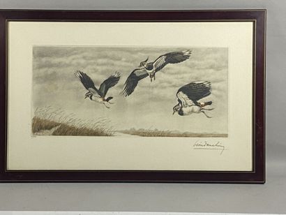 null Léon DANCHIN
"The Huped Vaneaux".
Lithograph signed lower right numbered 4/500
Sight:...