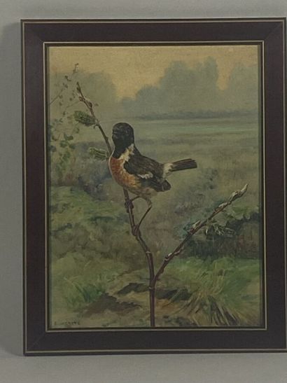 null MERITE Edouard Paul (1867-1941)
"Bullfinch connected".
Oil on cardboard signed...
