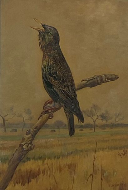 null MERITE Edouard Paul (1867-1941)
"Starling in the air".
Oil on cardboard signed...