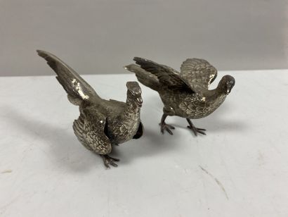 Pair of pheasant hens, in silver 1st title...