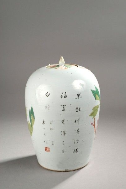 CHINE Vase oblong couvert à décor polychrome des émaux de la famille rose d'oiseaux...