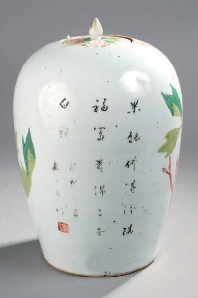 CHINE Vase oblong couvert à décor polychrome des émaux de la famille rose d'oiseaux...