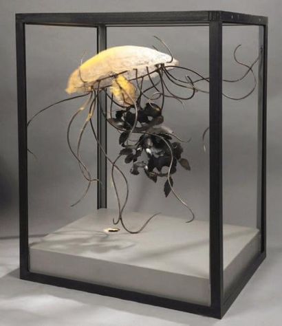 Christophe CONAN Méduse du Japon Sculpture en résine et métal, vitrine à armature...
