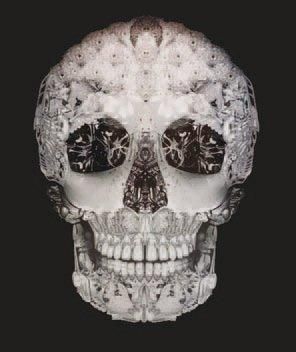 Garth KNIGHT Jewelled skull (vanitas), 2009 Digital c-print monté sur aluminium -...