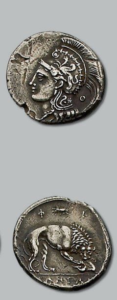 null - Vélia. (350-281 av. J.-C.). Didrachme. 7,10 g. Tête casquée d'Athéna à g....