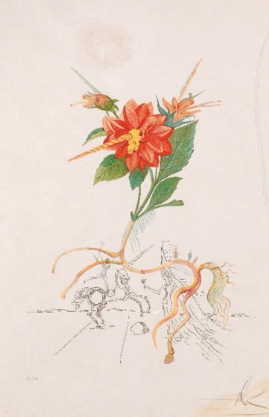 null DAHLIA - Planche de la série des dix FLORDALI. 1968 (Michler et Löpsinger 227)...