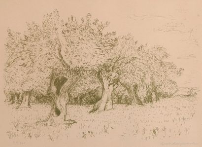 Ernest MORGENTHALER (1887-1962) Les oliviers
Lithographie.
Signée en bas à droite...
