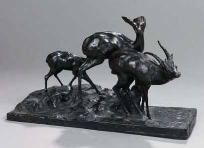 Guido RIGHETTI (1875-1958) Antilopes Bronze à patine brune. Signé, numéroté E.A III/IV,...