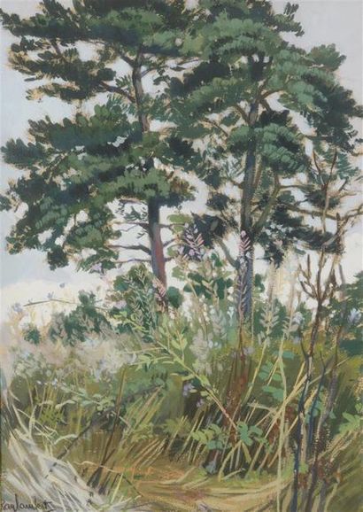 Raymond LAMBERT (1889-1967) Les pins Gouache....