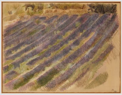 Jérôme BOST (né en 1942) 
The Wave (lavender field) 1982 Pastel on canvas




Monogrammed...