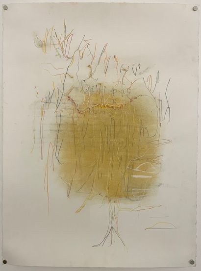 Jeff DORING (né en 1942) Set of 4 pastel drawings on paper, unsigned.

76 x 56 cm

A...