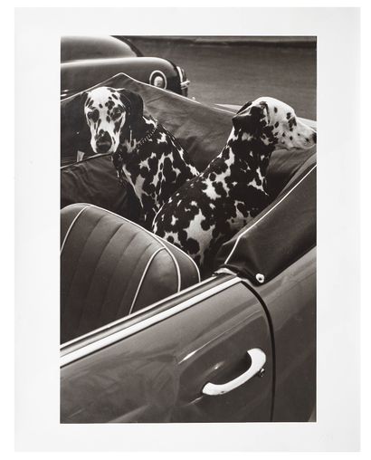 Louis STETTNER (1922-2016) 
Fifties graffiti - Dalmatian dogs 1951 Black and white...