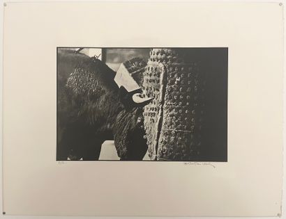 CHRISTIAN LOUIS (1948-2001) 
Bull Photographic print on wove paper




Signed lower...