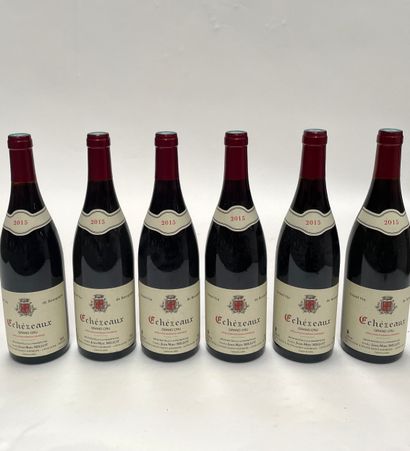 6 bouteilles Echezeaux Grand Cru Echezeaux Grand Cru 2015 Domaine J.M. Millot