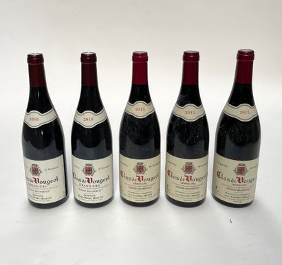 5 bouteilles Clos de Vougeot Grand Cru Clos de Vougeot Grand Cru, Grand Maupertui...