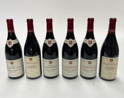 6 bouteilles Assortiment de Grands Crus du Chambertin Assortment of Grands Crus du...