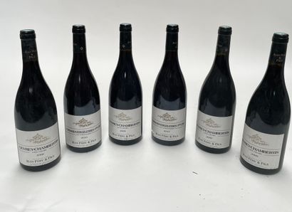 6 bouteilles Assortiment de Bourgogne rouge Assortment of red Burgundy MIX Domaine...
