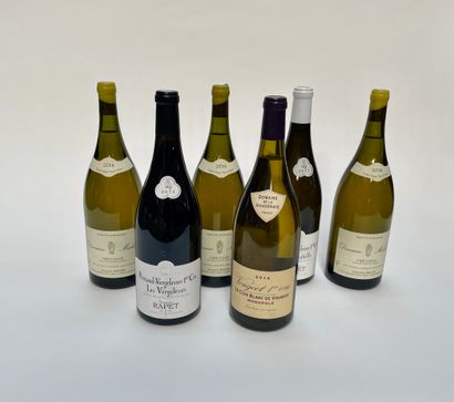 6 magnums Assortiment de Bourgogne Assortment of Burgundy in magnum MIX Provenance...