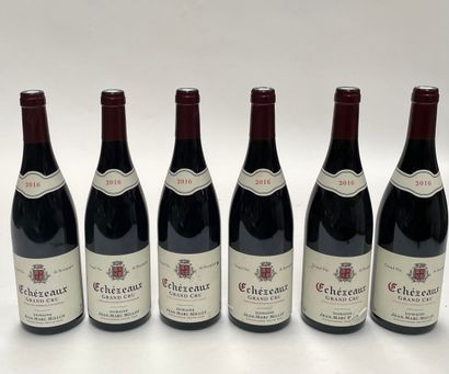 6 bouteilles Echezeaux Grand Cru Echezeaux Grand Cru 2016 Domaine J.M. Millot Provenance...