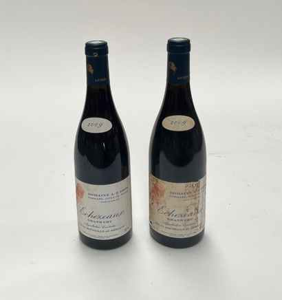 2 bouteilles Echezeaux Grand Cru Echezeaux Grand Cru 2009 Domaine Anne Gros Provenance:...
