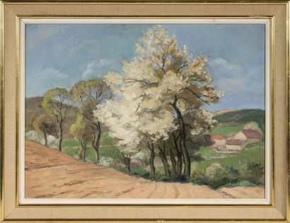 Raymond ROCHETTE (1906-1993) Vallée du Mesvrin au printemps
Huile sur carton
Signée...