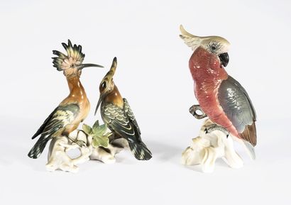 null Ensemble de deux groupes en porcelaine figurant des oiseaux et un cacatoès,...