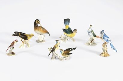 null Ensemble de sept groupes en porcelaine figurant des oiseaux, dont un Loriot...